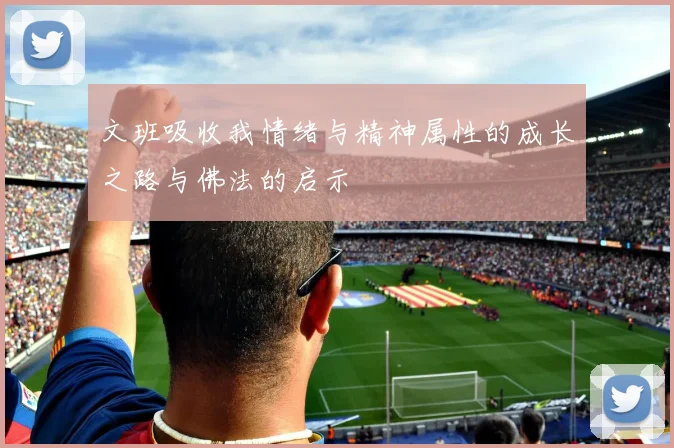 文班吸收我情绪与精神属性的成长之路与佛法的启示